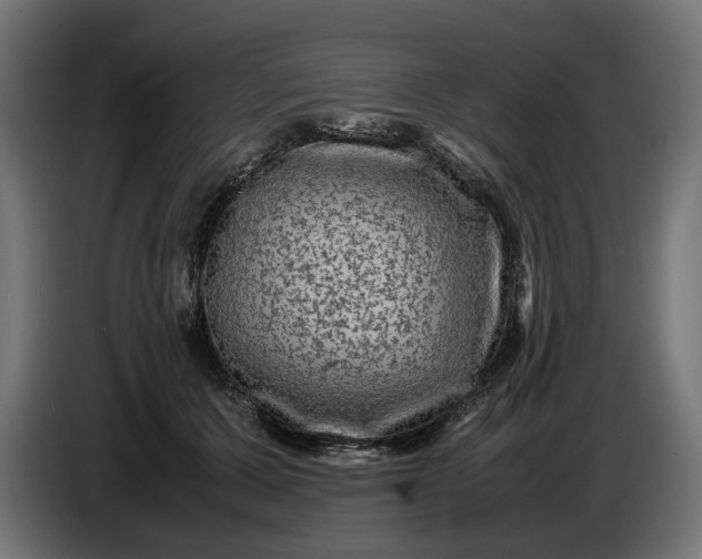X0000087420607200705041309