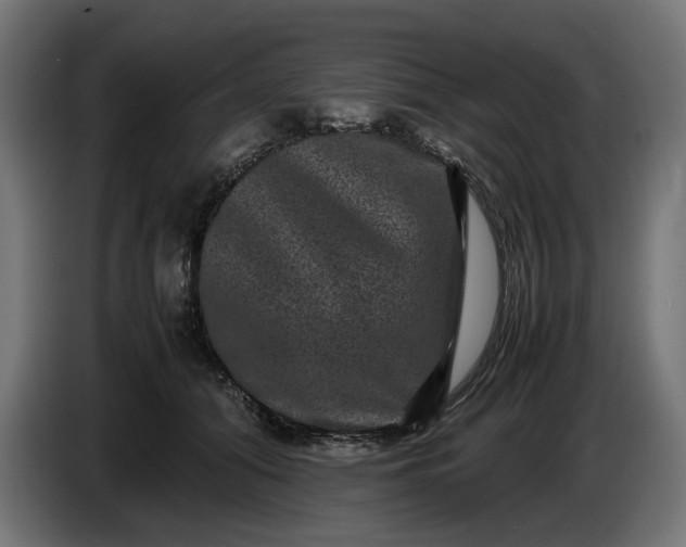 X0000087420608200705041309