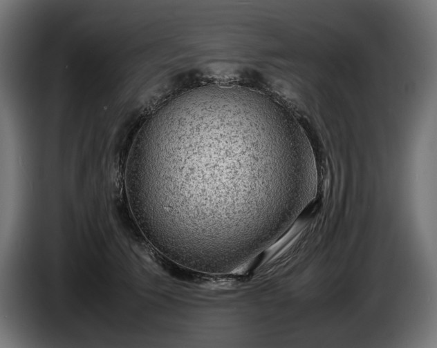 X0000087420609200705041309
