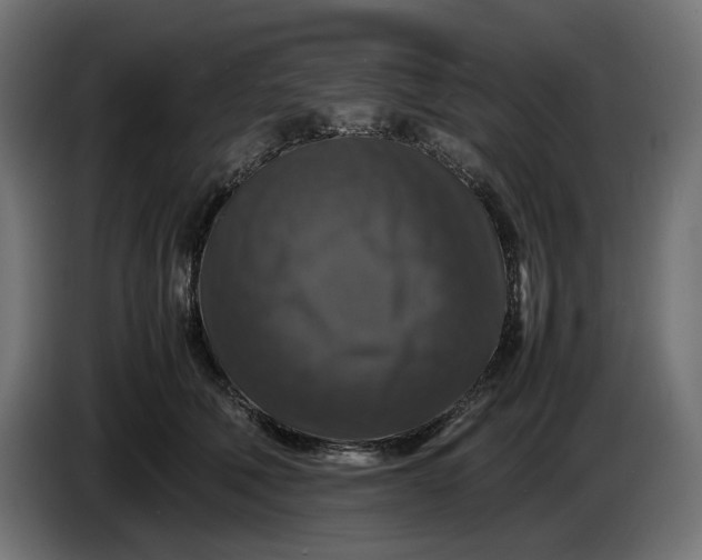 X0000087420610200705041309