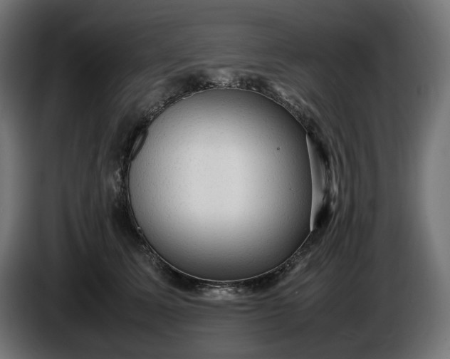X0000087420611200705041309