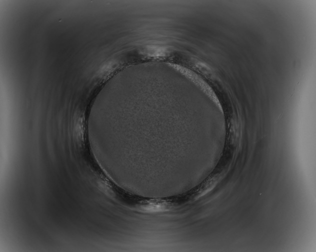 X0000087420612200705041309