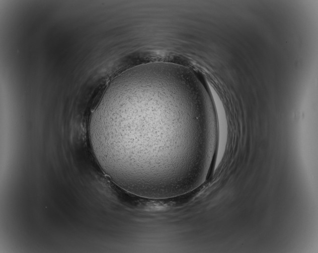 X0000087420613200705041309