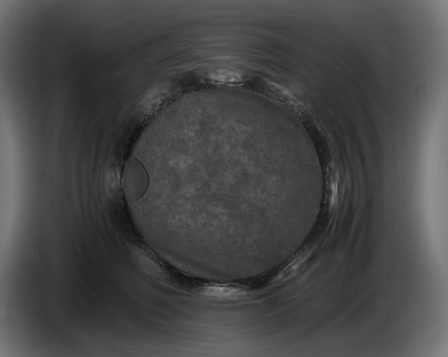X0000087420614200705041309
