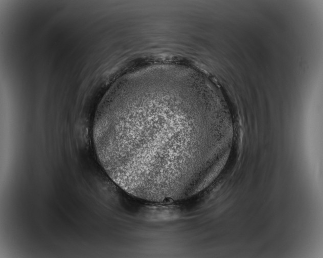 X0000087420615200705041309