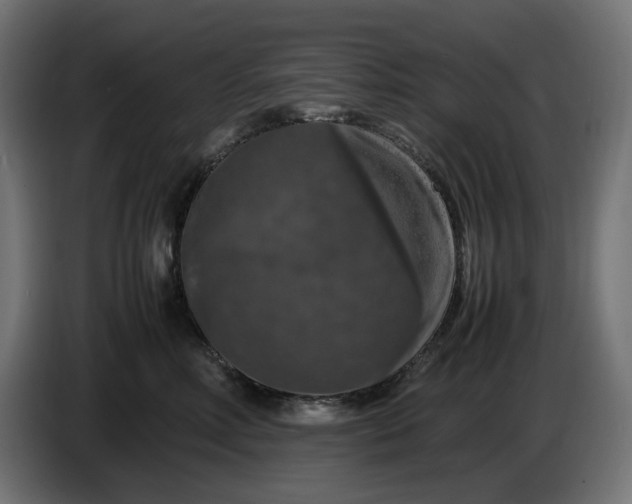 X0000087420618200705041309