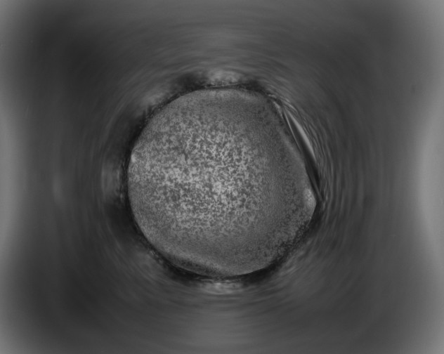 X0000087420619200705041309