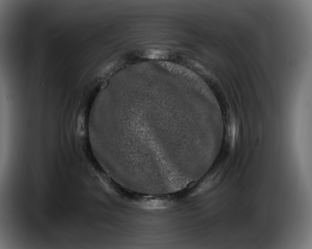 X0000087420620200705041309