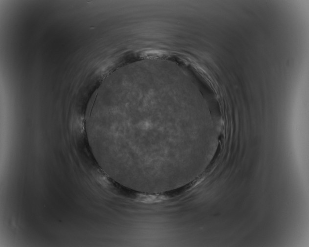X0000087420621200705041309