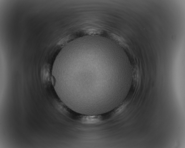 X0000087420622200705041309