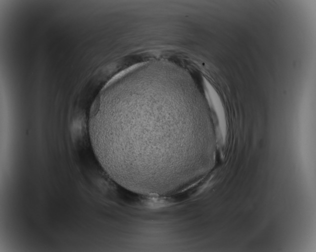 X0000087420623200705041309