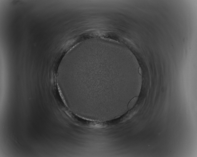 X0000087420624200705041309