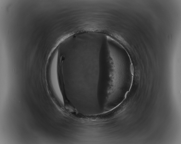 X0000087420626200705041308
