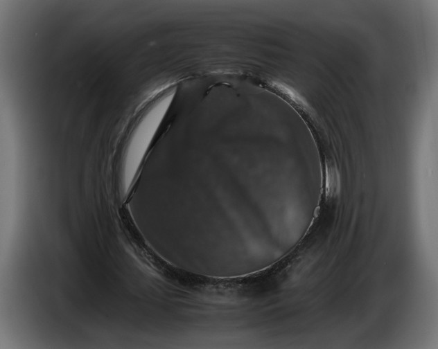 X0000087420627200705041308