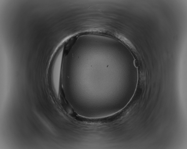 X0000087420628200705041308
