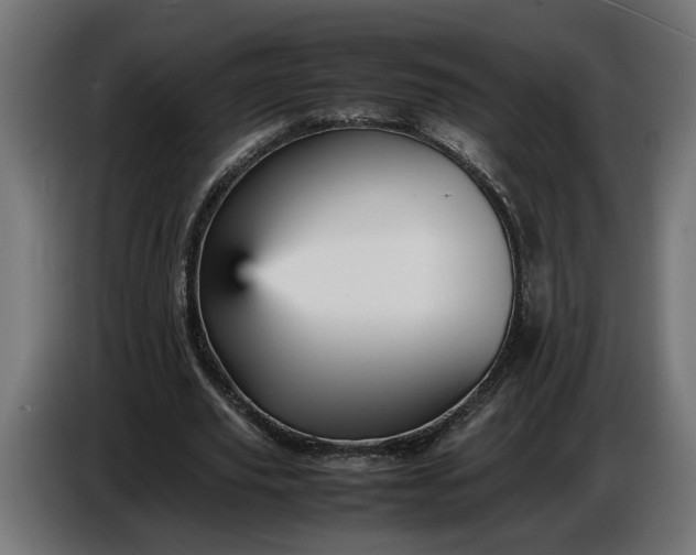 X0000087420629200705041308