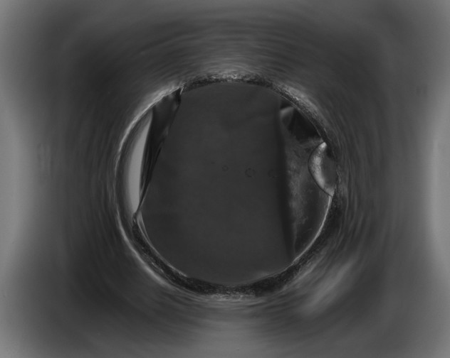 X0000087420630200705041308