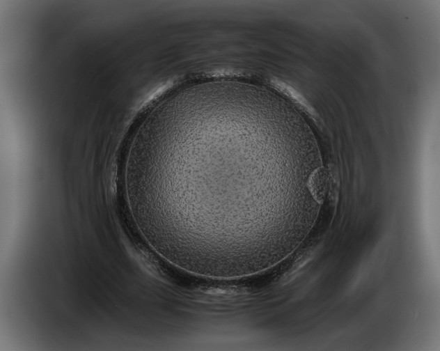 X0000087420631200705041308