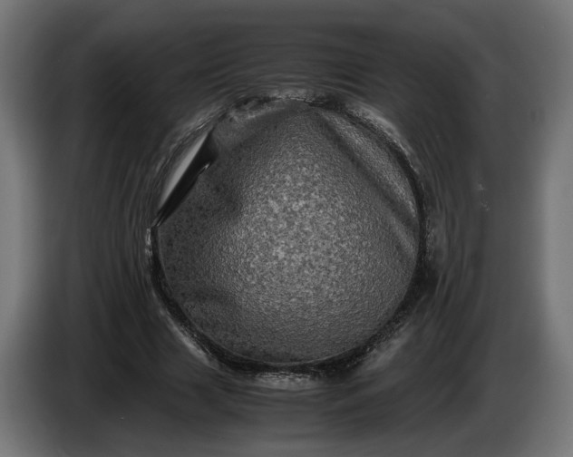 X0000087420633200705041308
