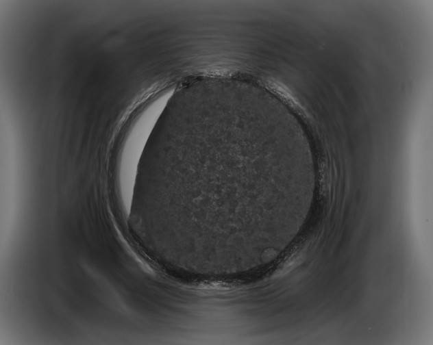 X0000087420634200705041308