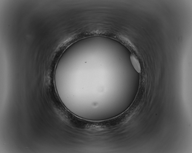 X0000087420635200705041308