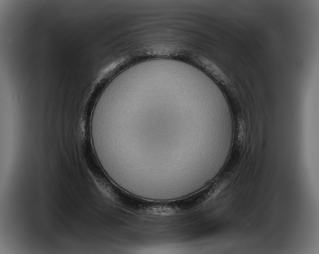 X0000087420636200705041308