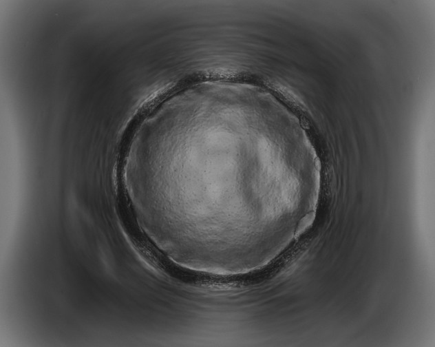 X0000087420638200705041308