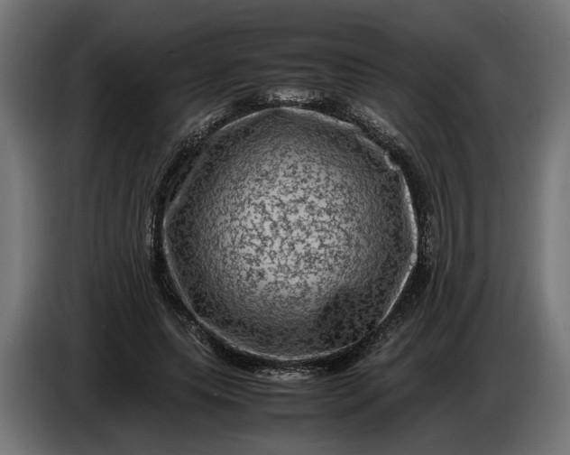 X0000087420639200705041308