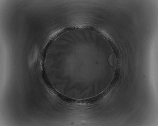 X0000087420640200705041308