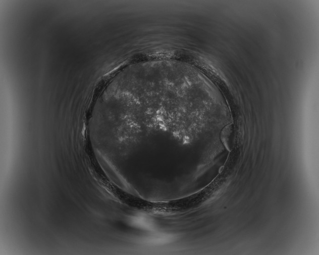 X0000087420641200705041308