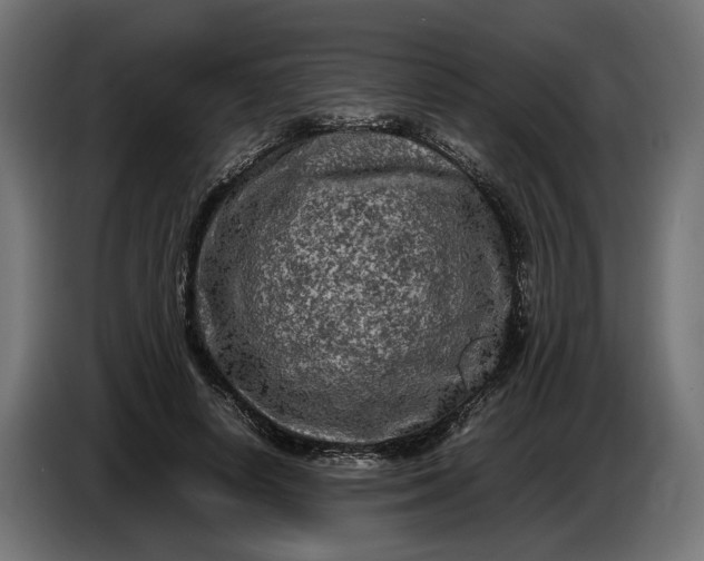 X0000087420642200705041308