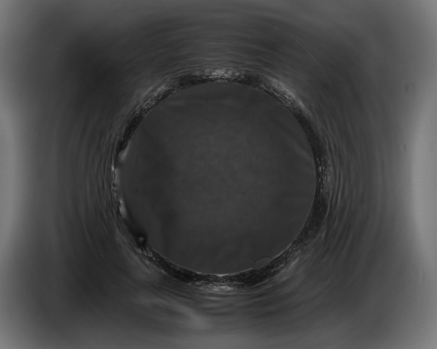 X0000087420643200705041308