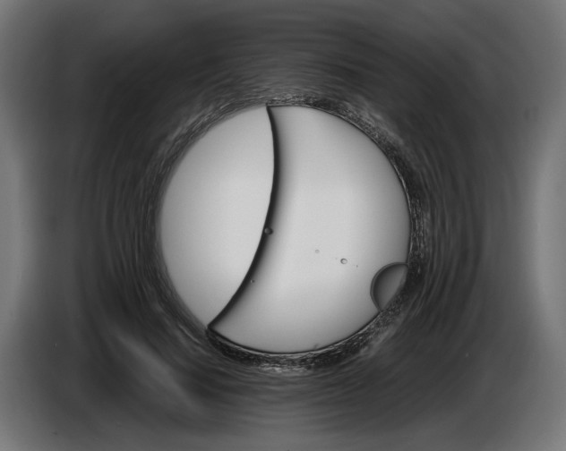 X0000087420644200705041308
