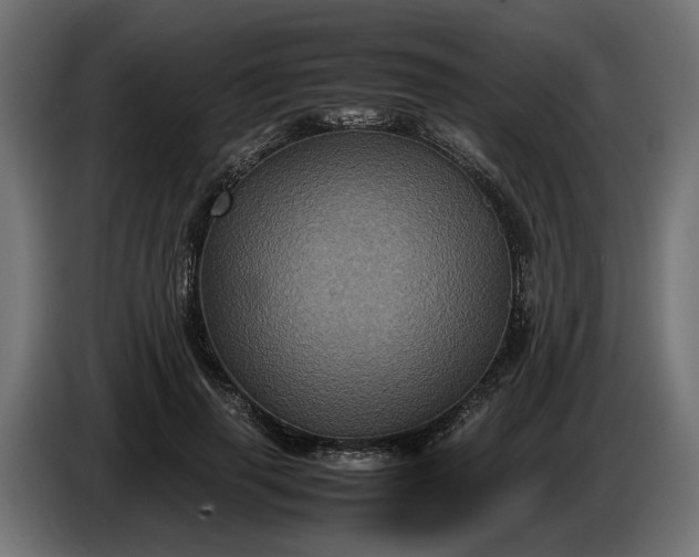 X0000087420645200705041308