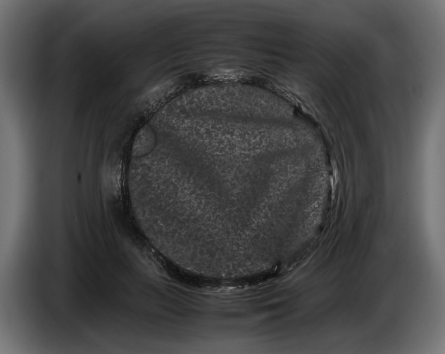 X0000087420647200705041308