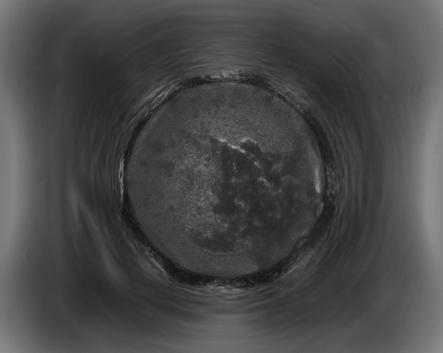 X0000087420648200705041308