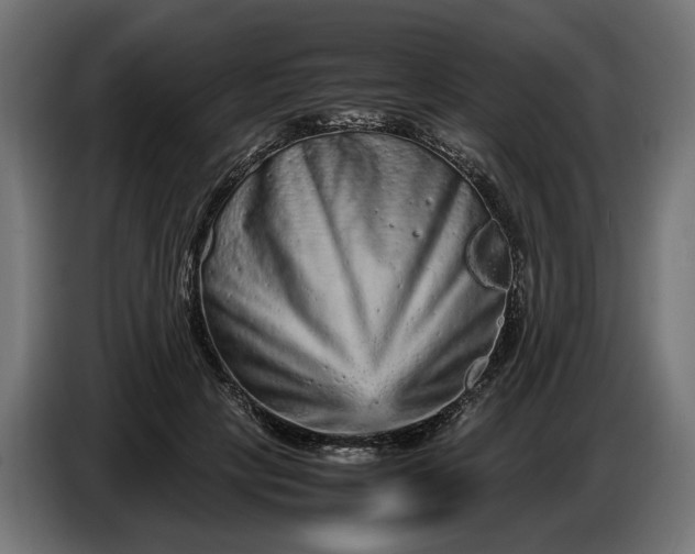 X0000087420649200705041308