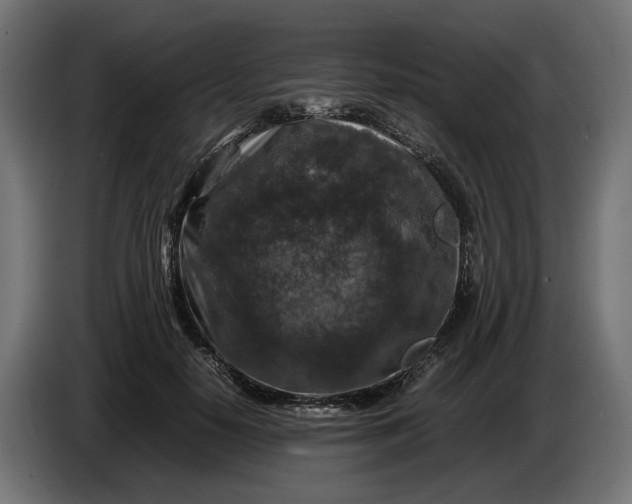 X0000087420650200705041308