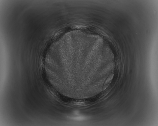 X0000087420651200705041309