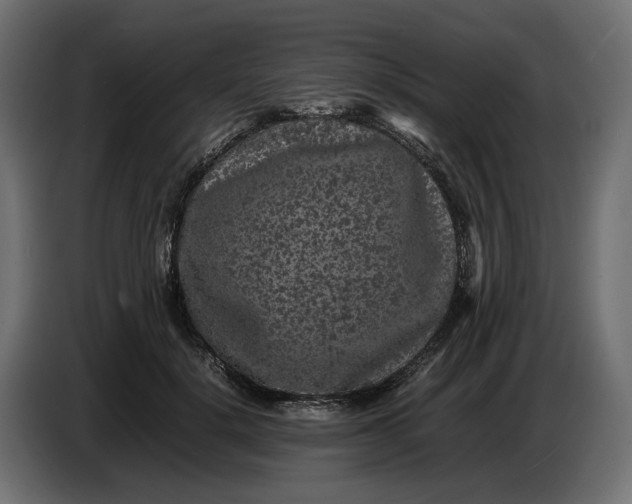 X0000087420652200705041309