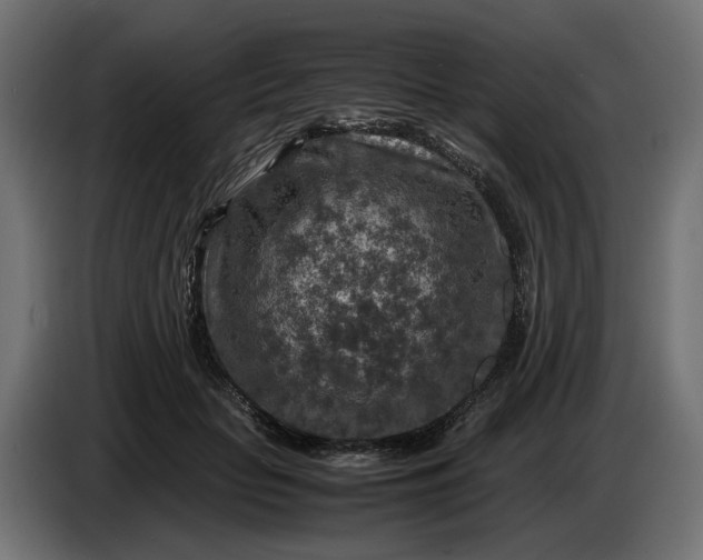 X0000087420653200705041309