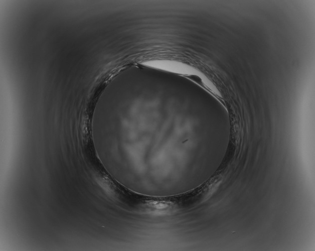 X0000087420654200705041309