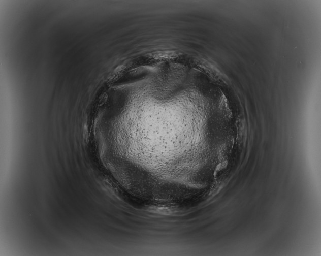 X0000087420655200705041309
