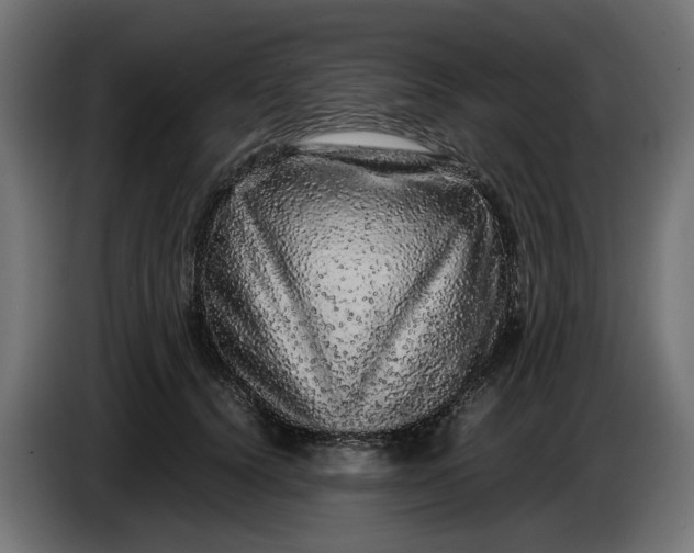 X0000087420656200705041309