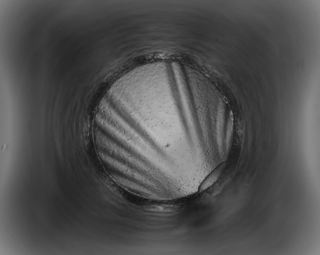 X0000087420657200705041309