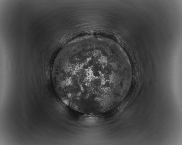 X0000087420658200705041309