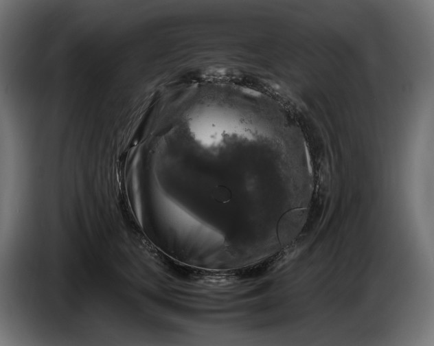 X0000087420659200705041309