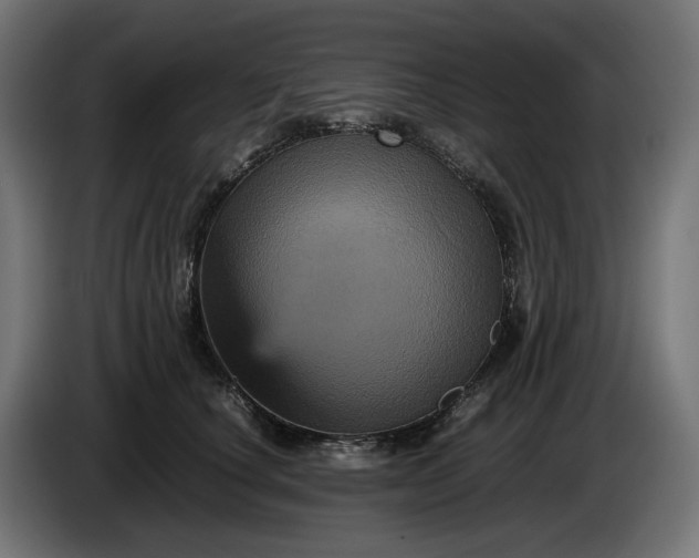 X0000087420660200705041309