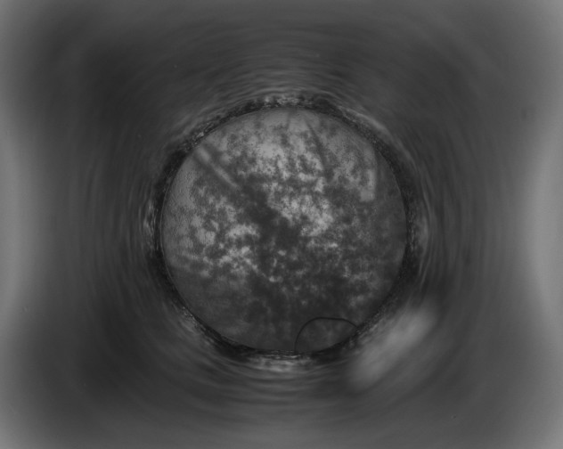 X0000087420661200705041309