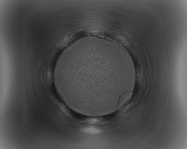 X0000087420662200705041309